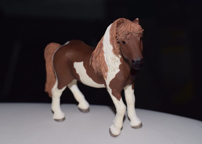 whatsapp-image-2017-01-20-at-12-47-41