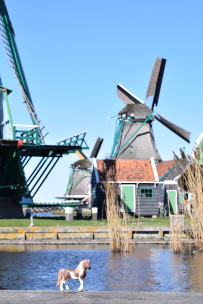 FullSizeRender (1) copy