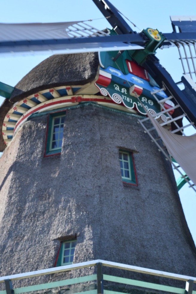 FullSizeRender (1) copy 2.jpg